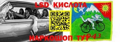 спиды Камышлов