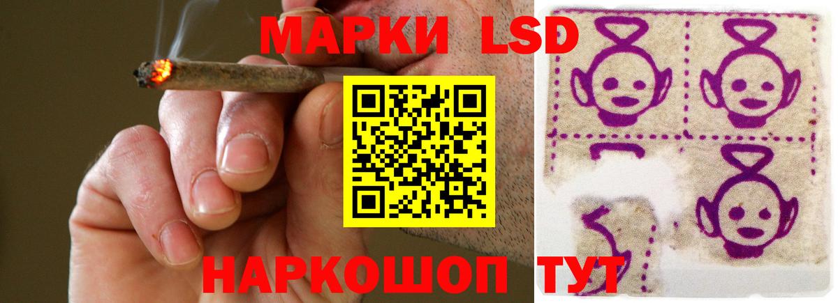 A-PVP Костомукша