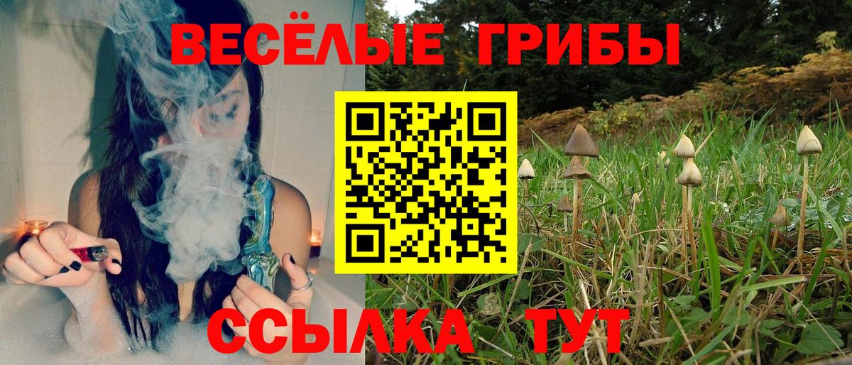 Галлюциногенные грибы мицелий  Галлюциногенные грибы мицелий  Костомукша  Вход с VPN 